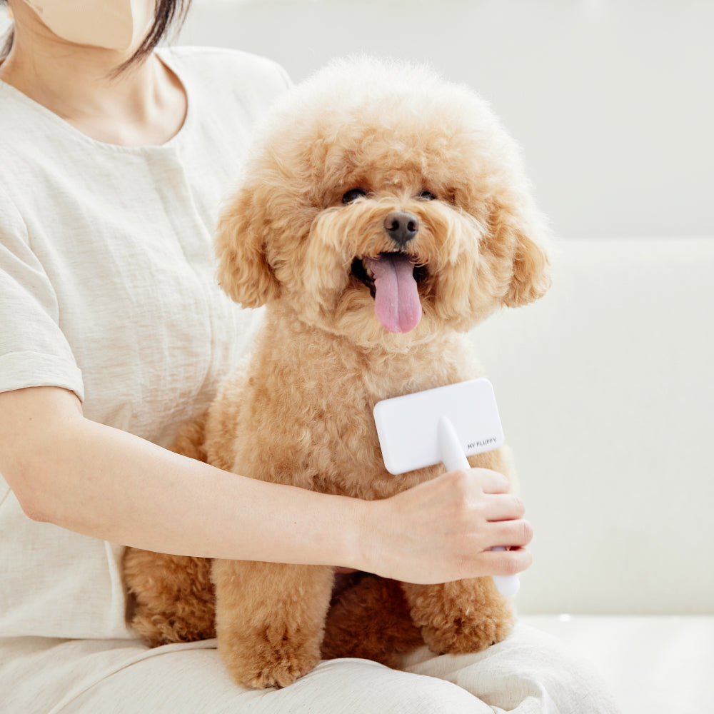 Myfluffy 針梳 pet comb