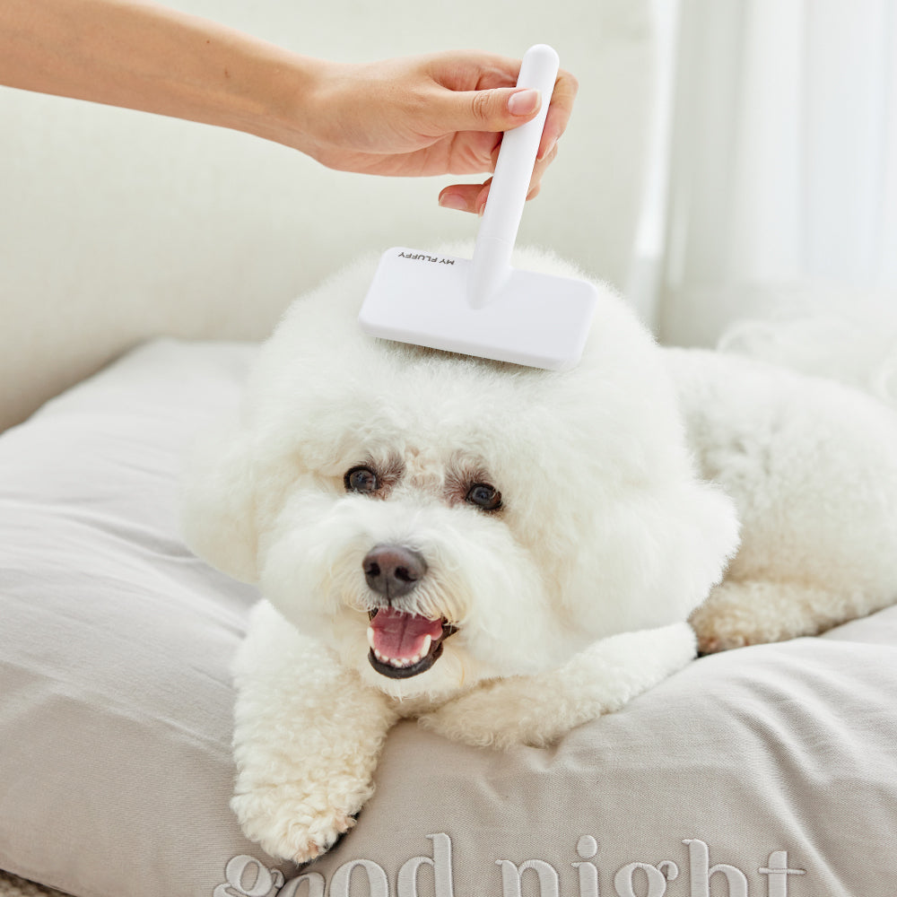 Myfluffy 針梳 pet comb