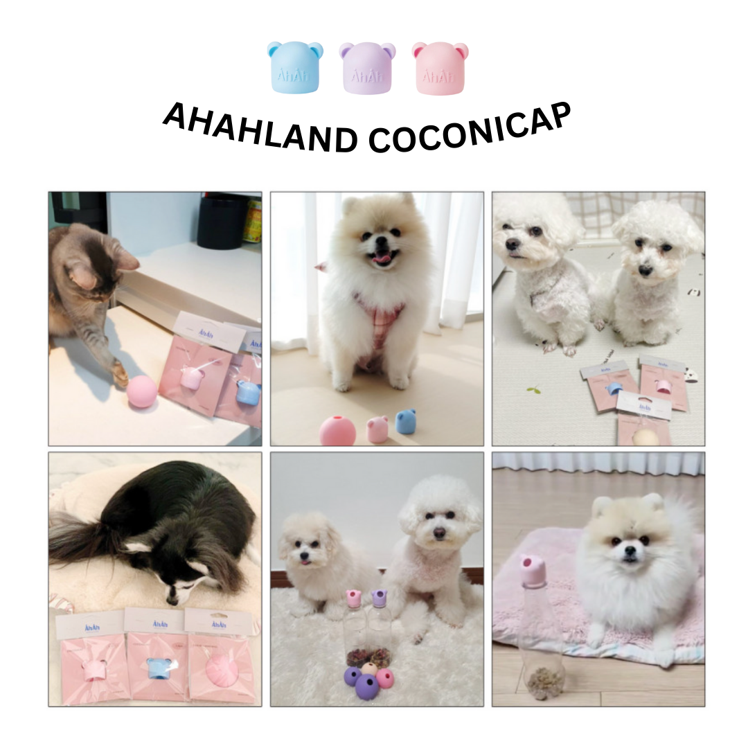 COCONI CAP 熊仔漏食樽蓋 2ea 2個裝 AHAHLAND