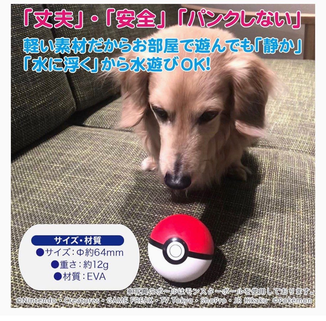 Pokemon 寵物小精靈浮水波波寵物玩具