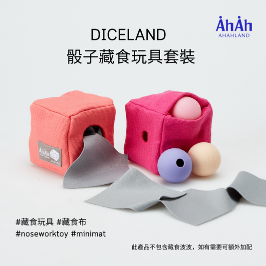 DICELAND 益智骰子藏食玩具套裝 AHAHLAND