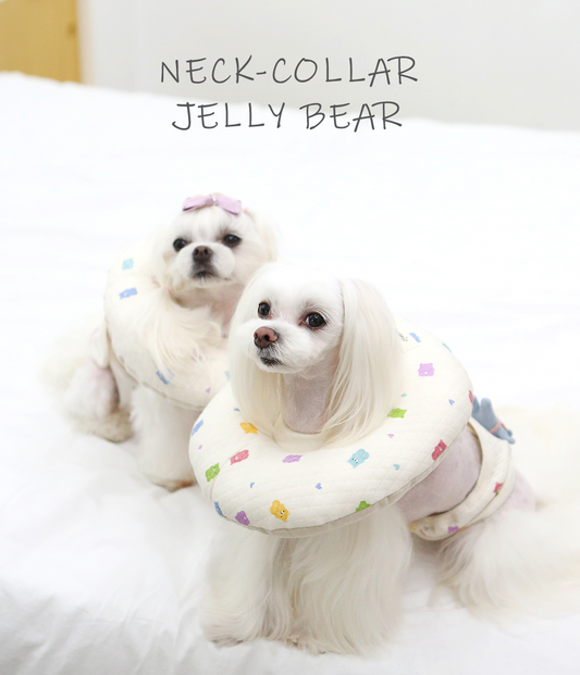 【JELLY BEAR】伊莉莎白寵物受傷/手術後用頸圈 neck collar for injury/after sugery use ITSDOG