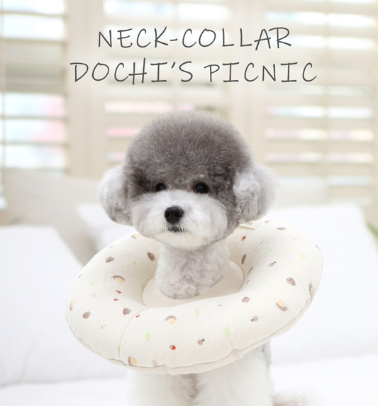 【DOCHI'S PICNIC】伊莉莎白寵物受傷/手術後用頸圈 neck collar for injury/after sugery use ITSDOG