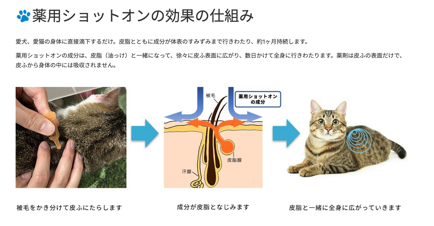 日本 Earth Pet 滴蚤藥 貓用/小型犬/中型犬/大型犬用 1支裝