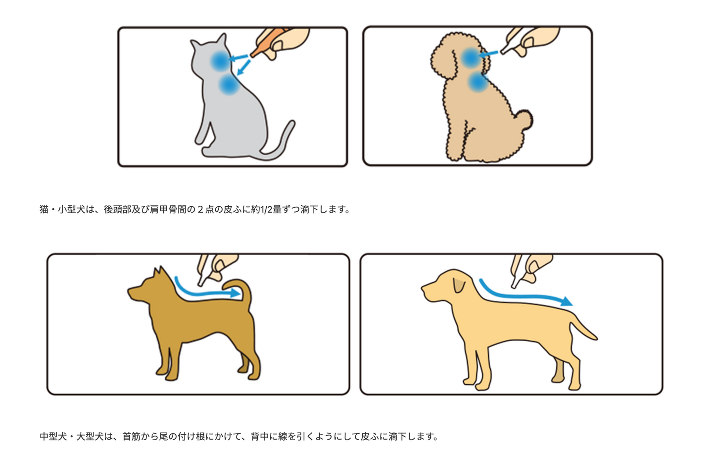 日本 Earth Pet 滴蚤藥 貓用/小型犬/中型犬/大型犬用 1支裝