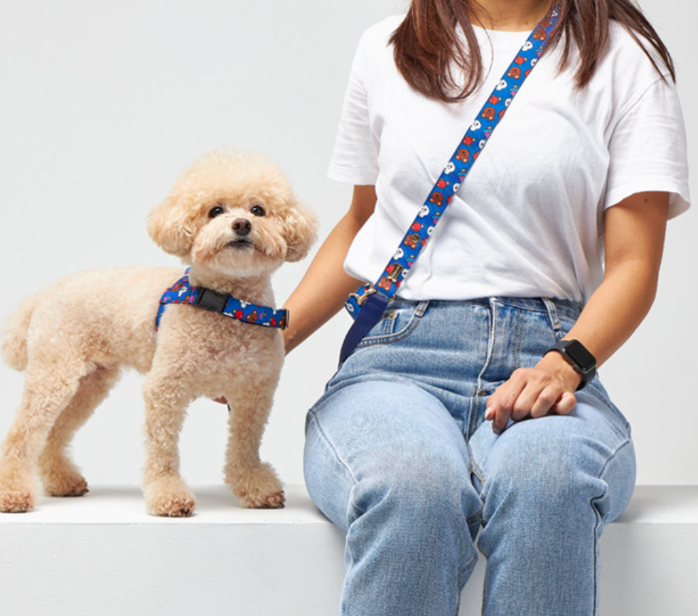 Noradog Woozoo系列 Long Leash 可掛身加長版牽引繩 (7kg以上/7kg以下)