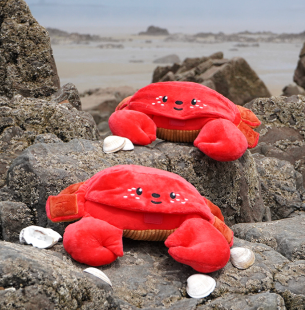 【預購】蟹蟹藏食玩具 Crab nosework toy