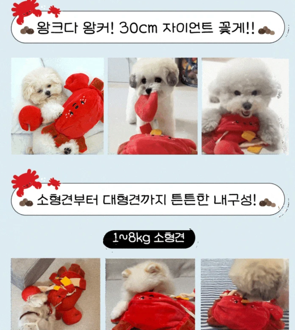 【預購】蟹蟹藏食玩具 Crab nosework toy