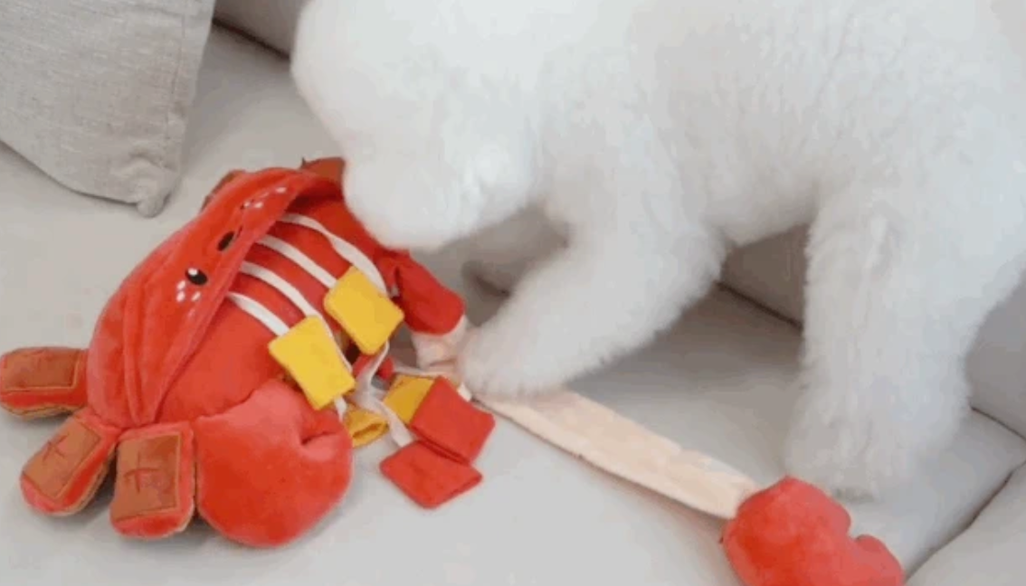 【預購】蟹蟹藏食玩具 Crab nosework toy