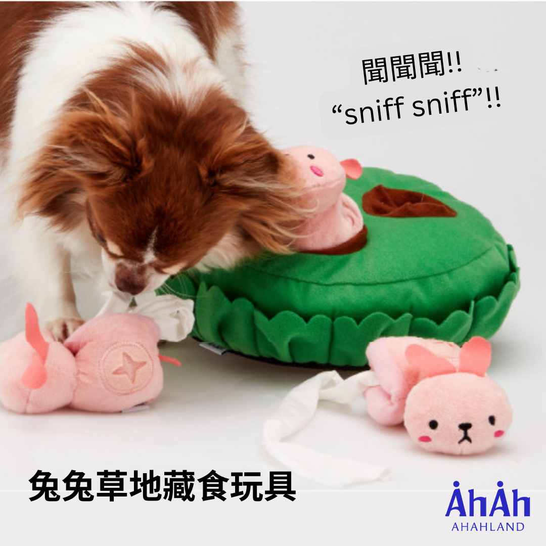 RABBITLAND NOSEWORK FABRIC TOY 兔兔草地藏食玩具 AHAHLAND