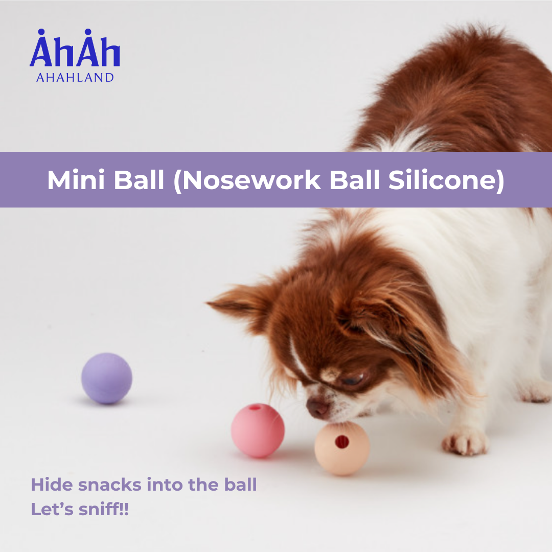 COCONI NOSEWORK SILICONE BALL 漏食波波玩具 AHAHLAND